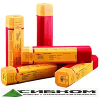 Электроды Castolin EutecTrode E308L-17